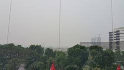 Hundred Trees (D5), Condominium #156320362